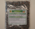 Diehard Palm Transplant 8oz