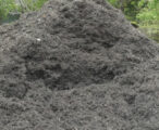 Black Mulch