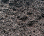 Pine Bark Mulch