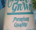 Rye Grass
