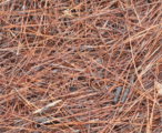 Straw